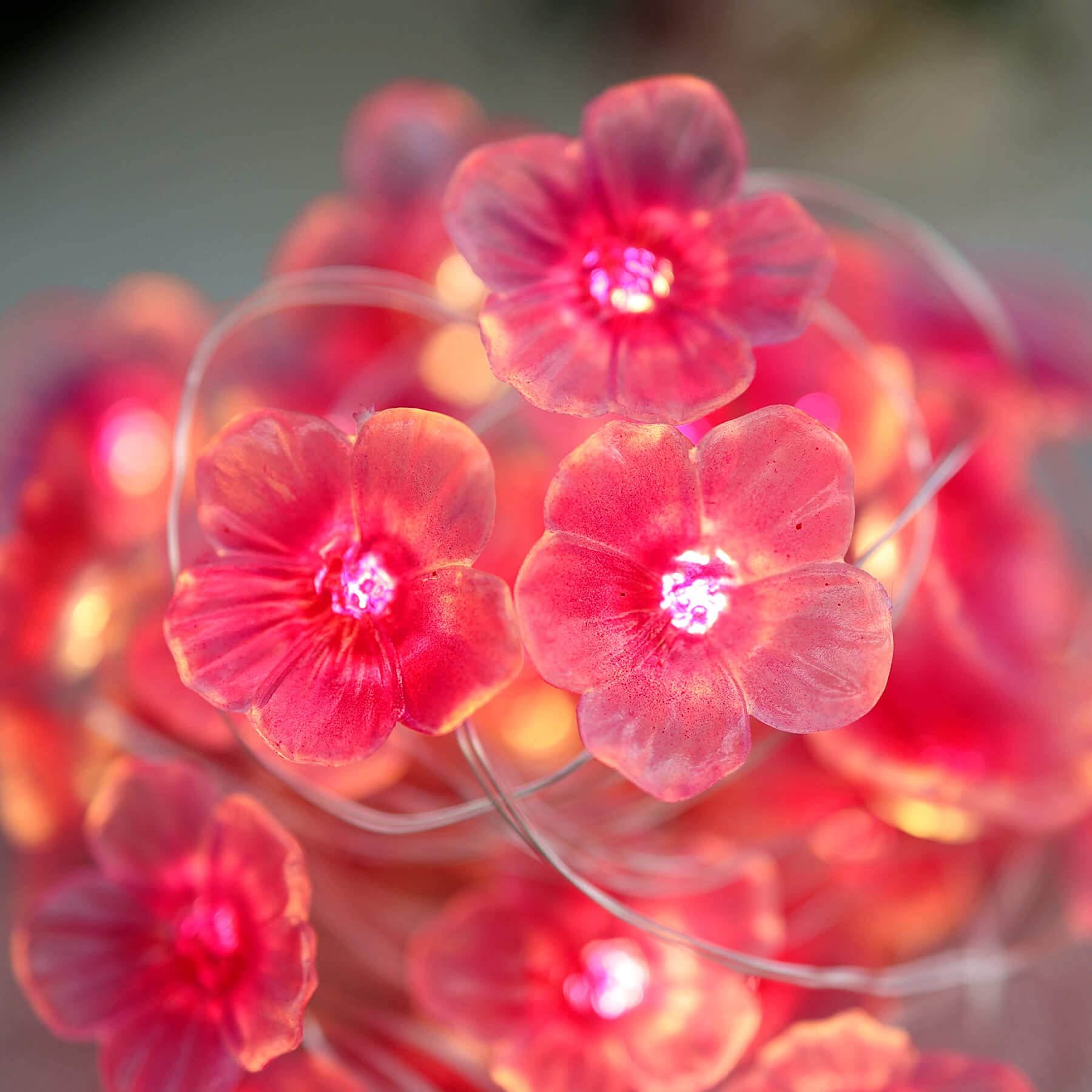 ストリングティング お花 桜 さくら ピンク ストリングティング お花 桜 さくら ピンク