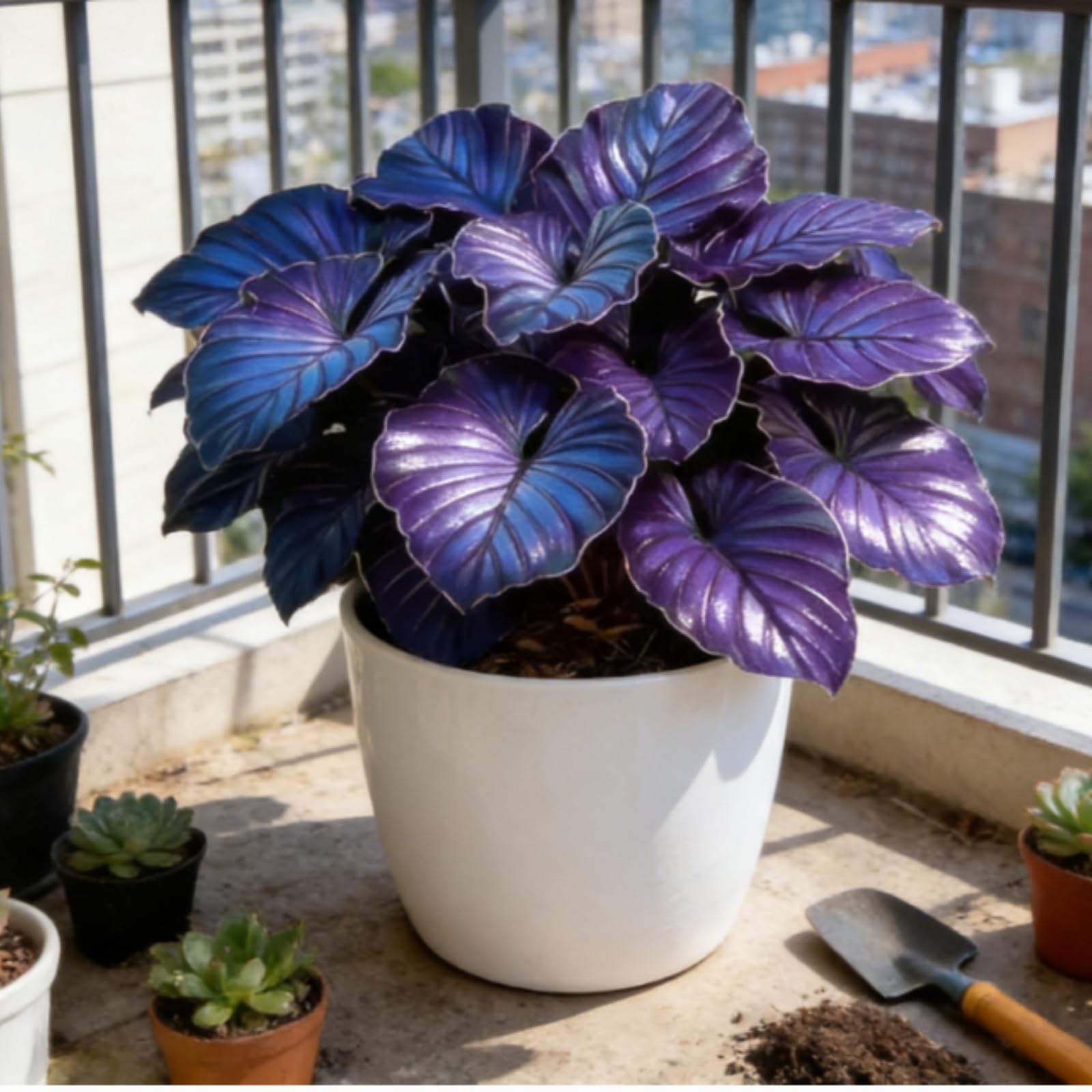 Hostas Bulbs UK,Potted-Plants-Rhizome,Shade-Tolerant Hosta Rhizomes,Hosta Plants for Garden,That Grow Fast,Excellent Display-I-8Rhizomes