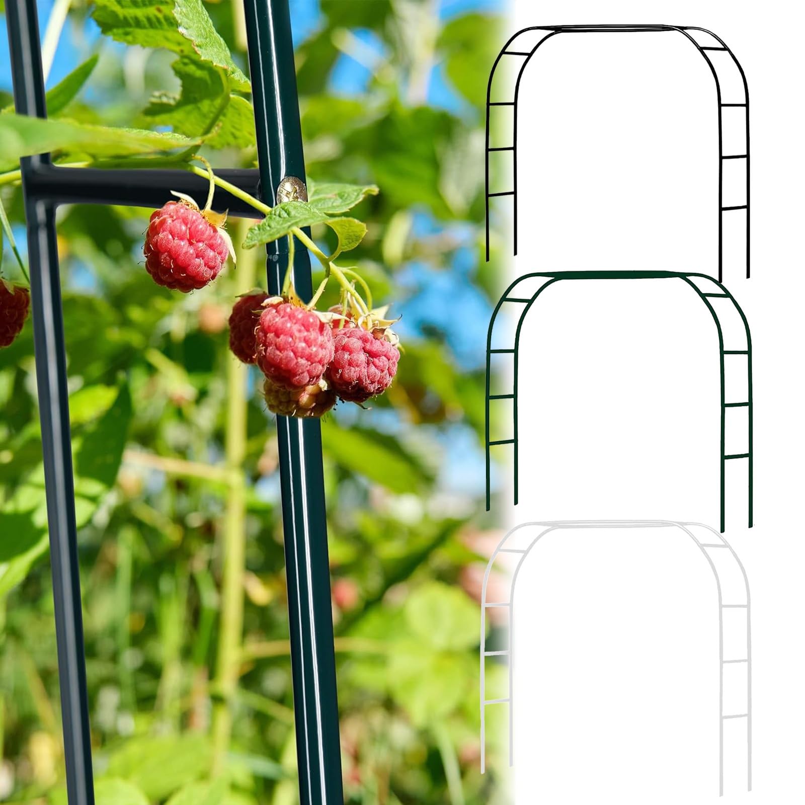 LIYI929GP ArcoDa Giardino, Supporto Piante Rampicanti, Stabile Pergole In Metallo, Decorazione Giardino, Garden Pergolas ArcoPer Rose Sostegno, 120/180/200/240/280/300cm Largo, Interni Ed Esterni