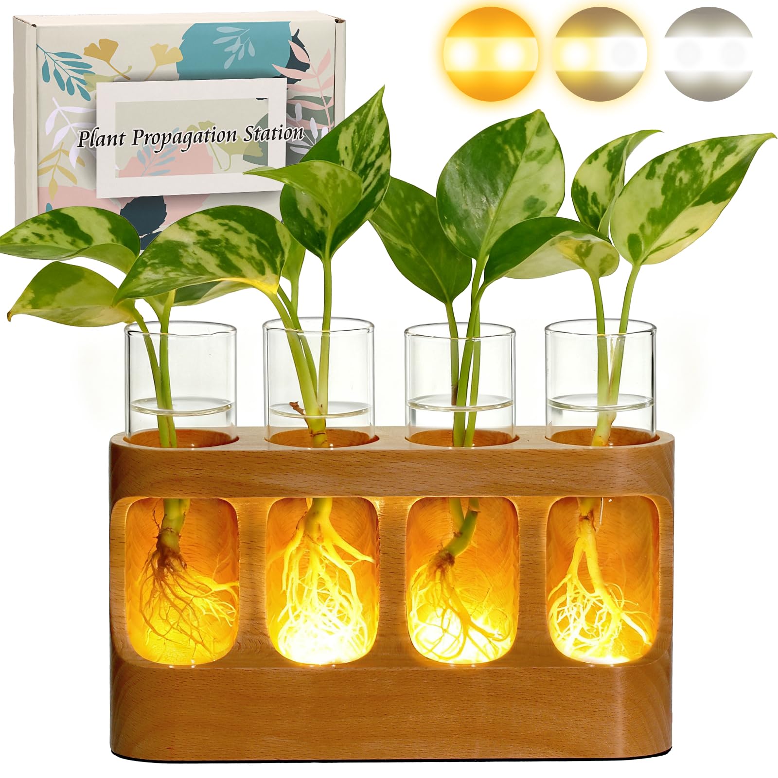 Station de propagation en bois et verre avec lampe de croissance 3 modes