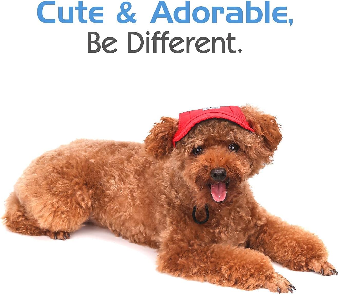 Pawaboo Pet Carrier Backpack M Size Black & Adjustable Dog Baseball Cap Outdoor Sport Sun Protection S Size Red : Pet Supplies