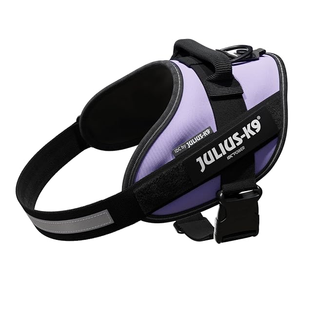 Arnés IDC Power, Tamaño: M/0, Morado