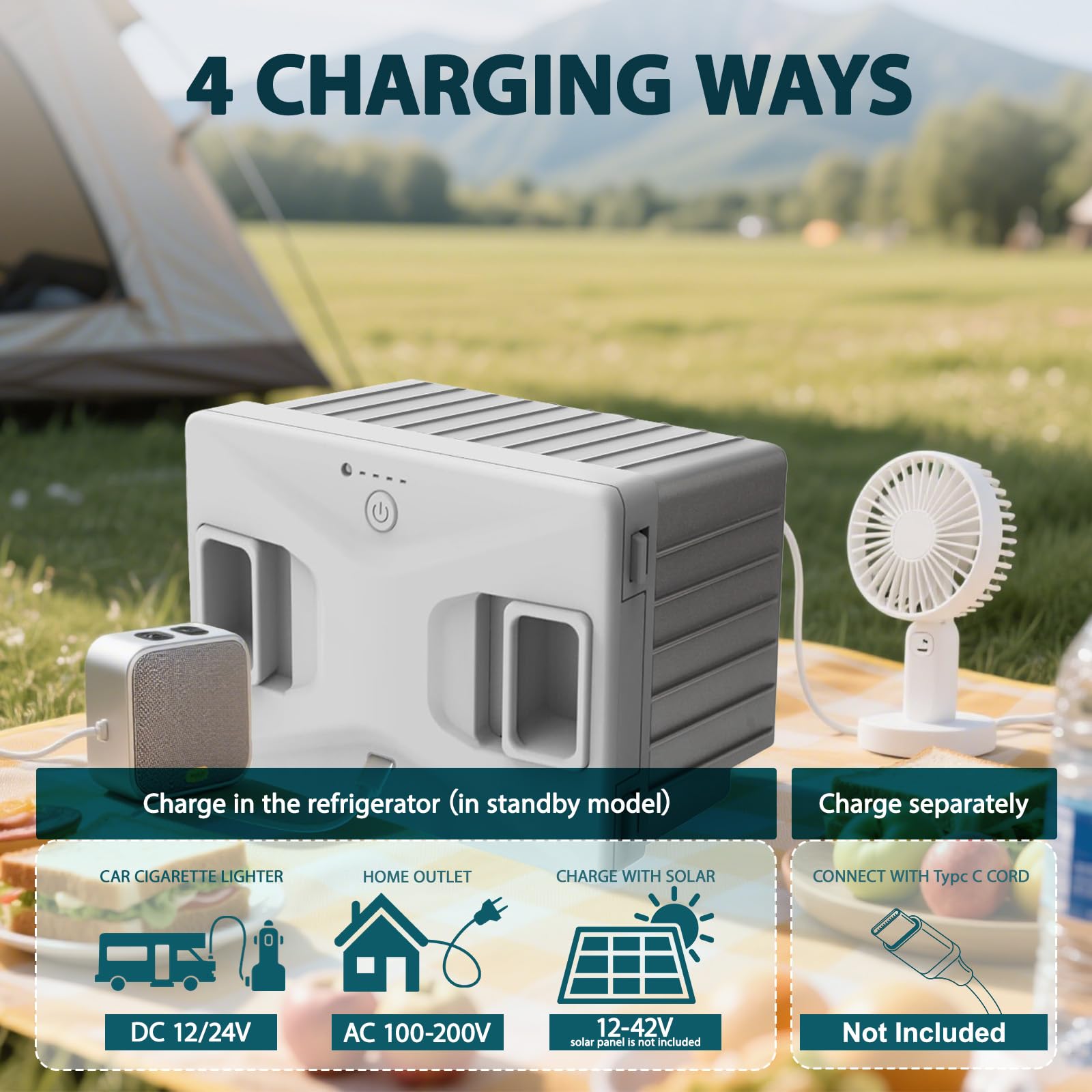 Amazon.com: Alpicool 173Wh Detachable Battery For Portable Car