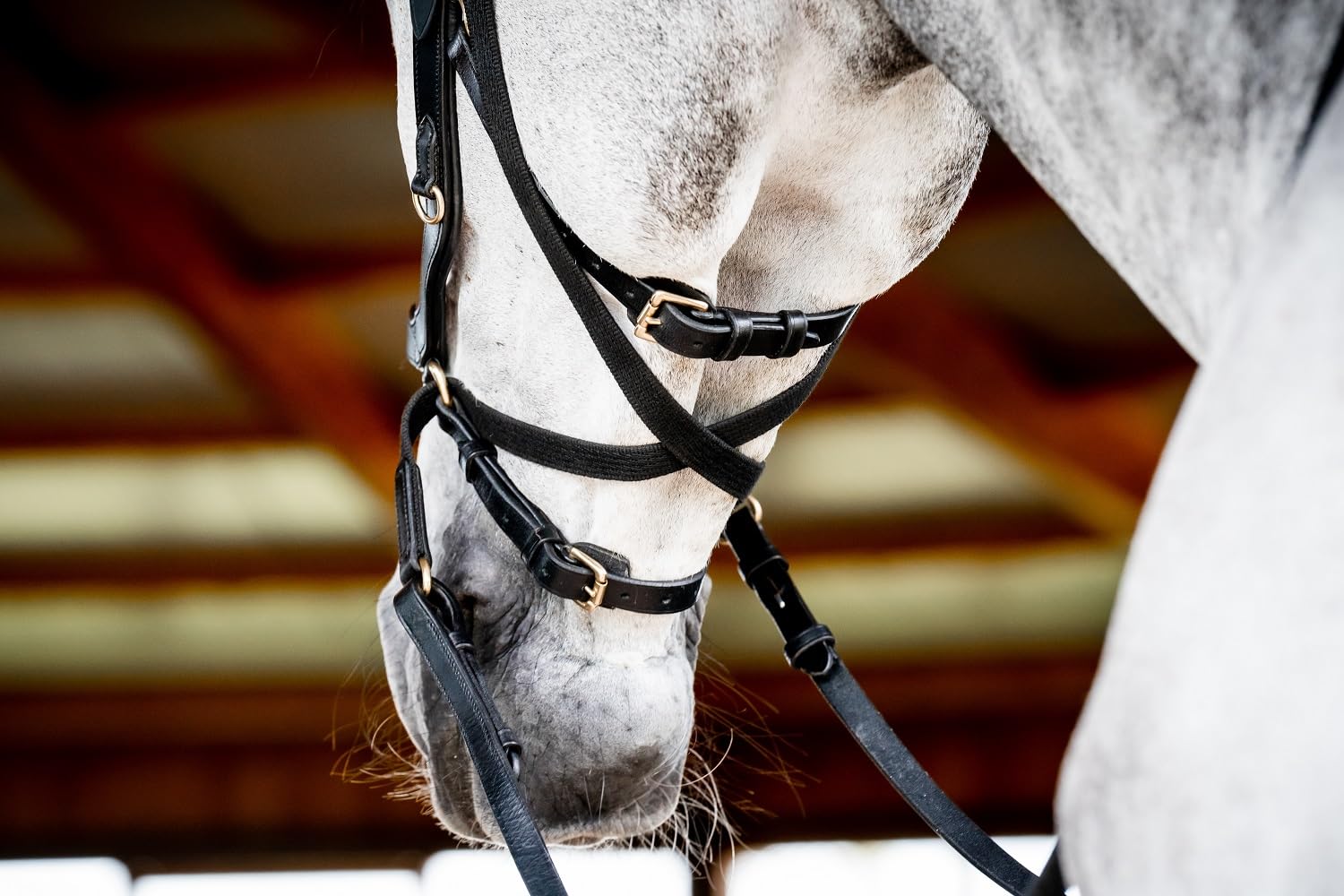 Horseware HW Micklem2 Multi Bridle, Warmblut, Schwarz