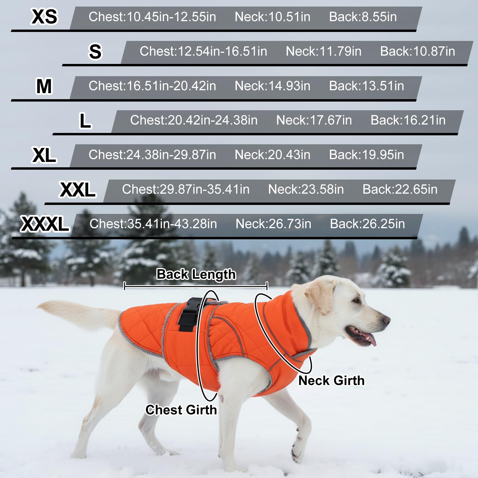 Cappotto invernale per cani con lacci (blu, S)