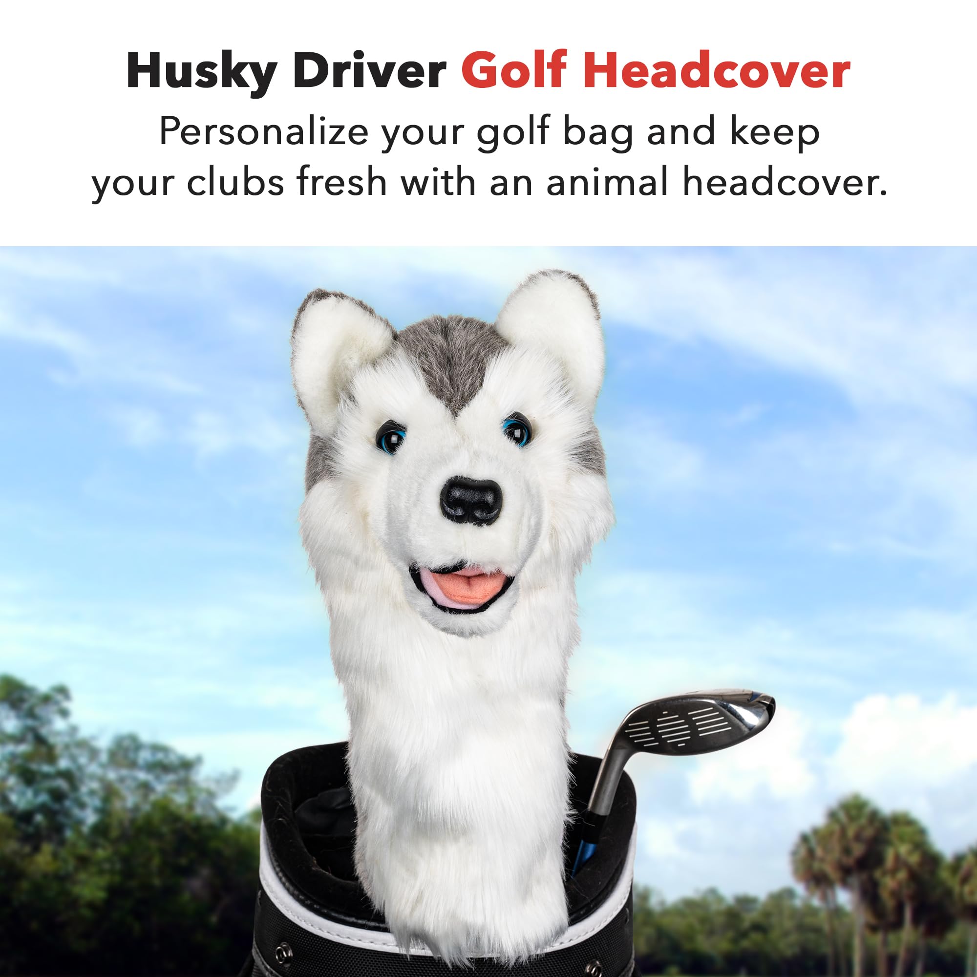 Daphne's Husky Headcovers, Drivers - Amazon Canada