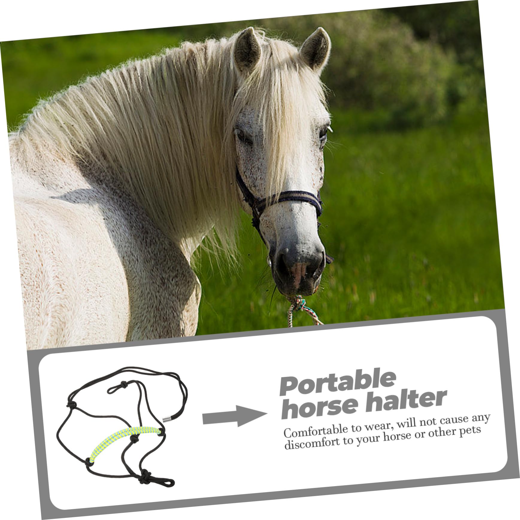 TOYANDONA Verstellbares Pferdehalfter aus Nylon Schwarz Strapazierfähig und Bequem für Pferdetraining Reitvorführungen und Pferdezubehör Zufällige Farbe
