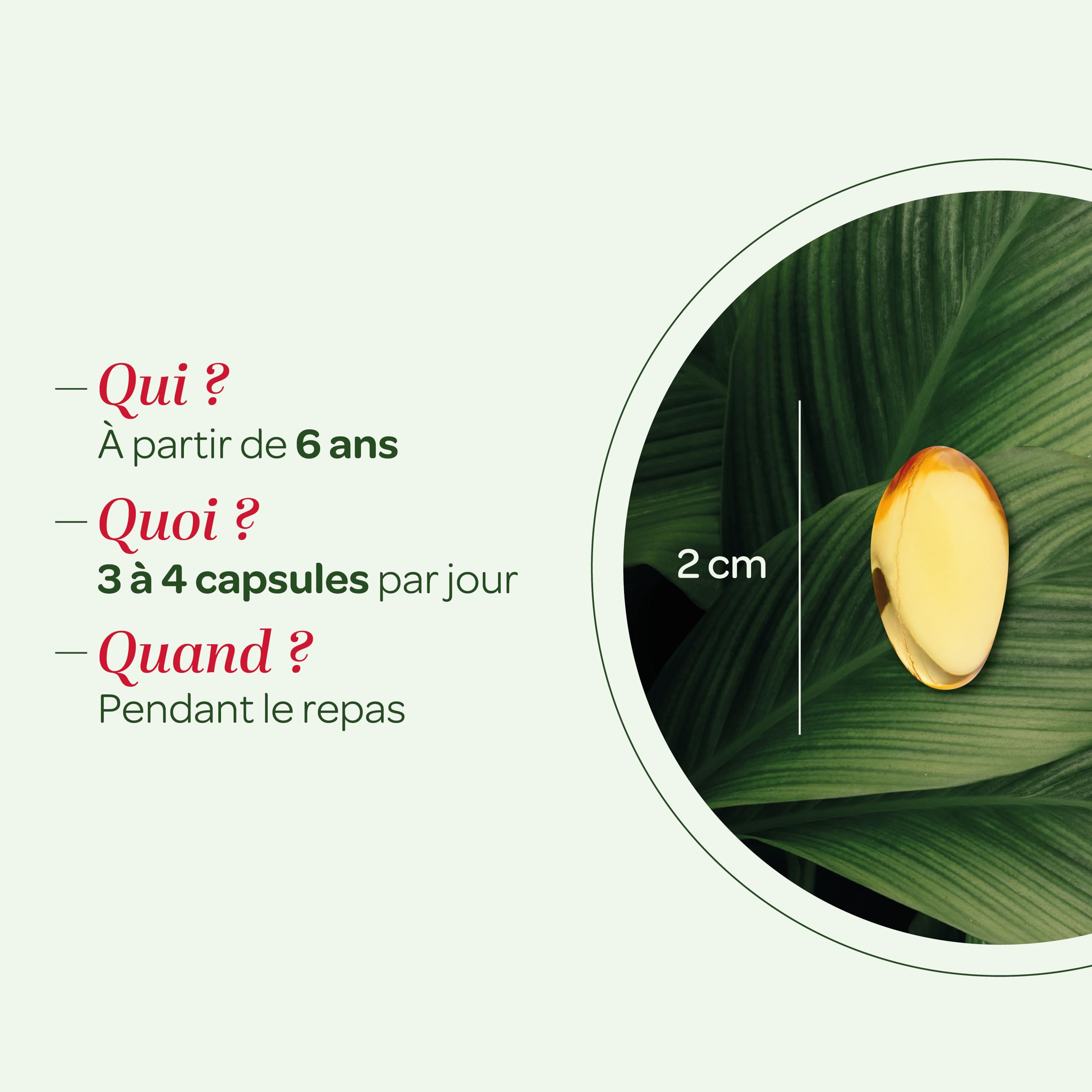 SUPERDIET® - HUILE DE BOURRACHE - Beauté de la peau -Phytothérapie - Fabrication française - 200 capsules