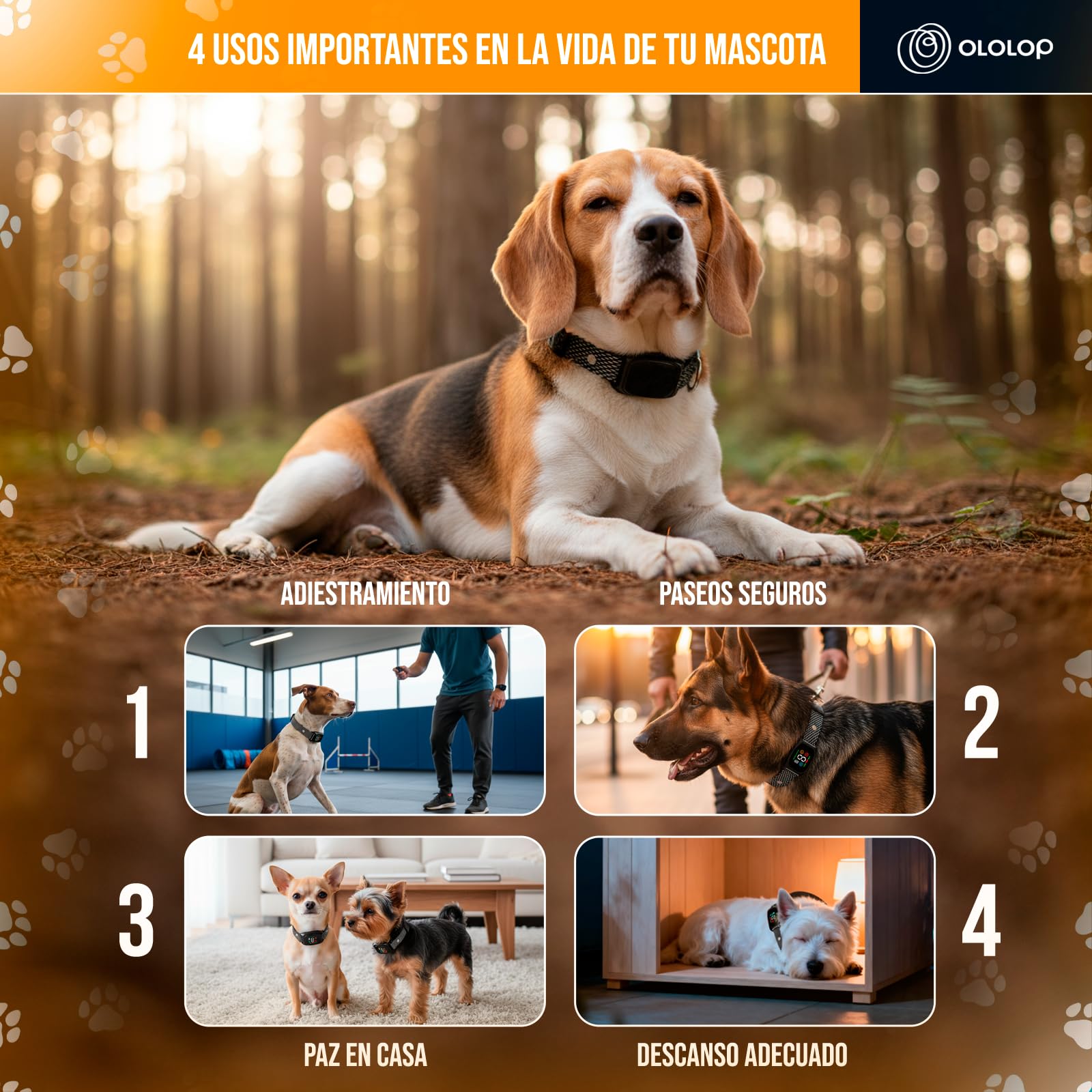 Collar antiladridos Perros |Collar adiestramiento Perros Solo vibración y Sonido | Ajustable + Sensible al ladrido | Perros pequeños y medianos | Entrenamiento Humanizado | Hogar Tranquilo