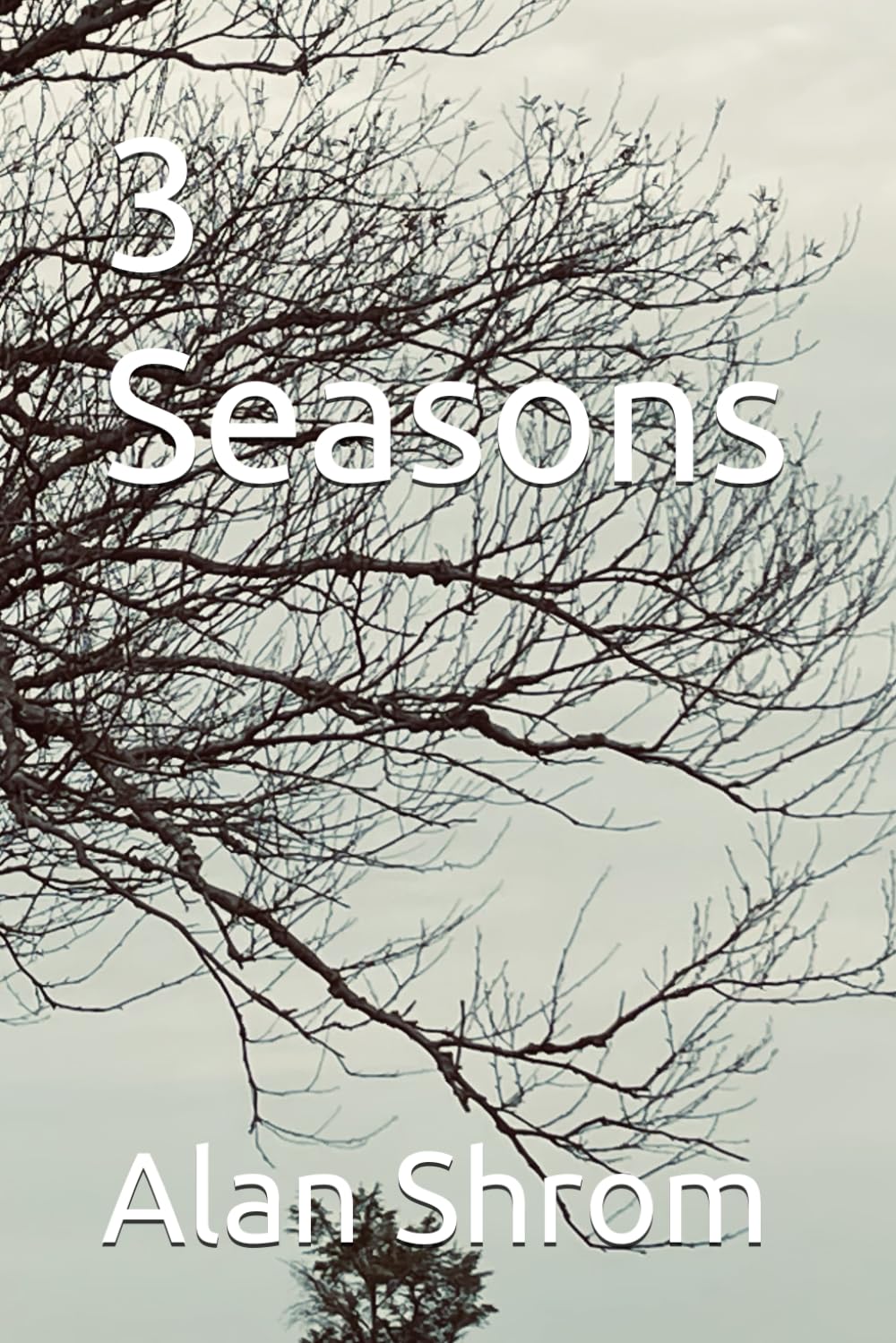 3 Seasons: Reflective Poetry Collection