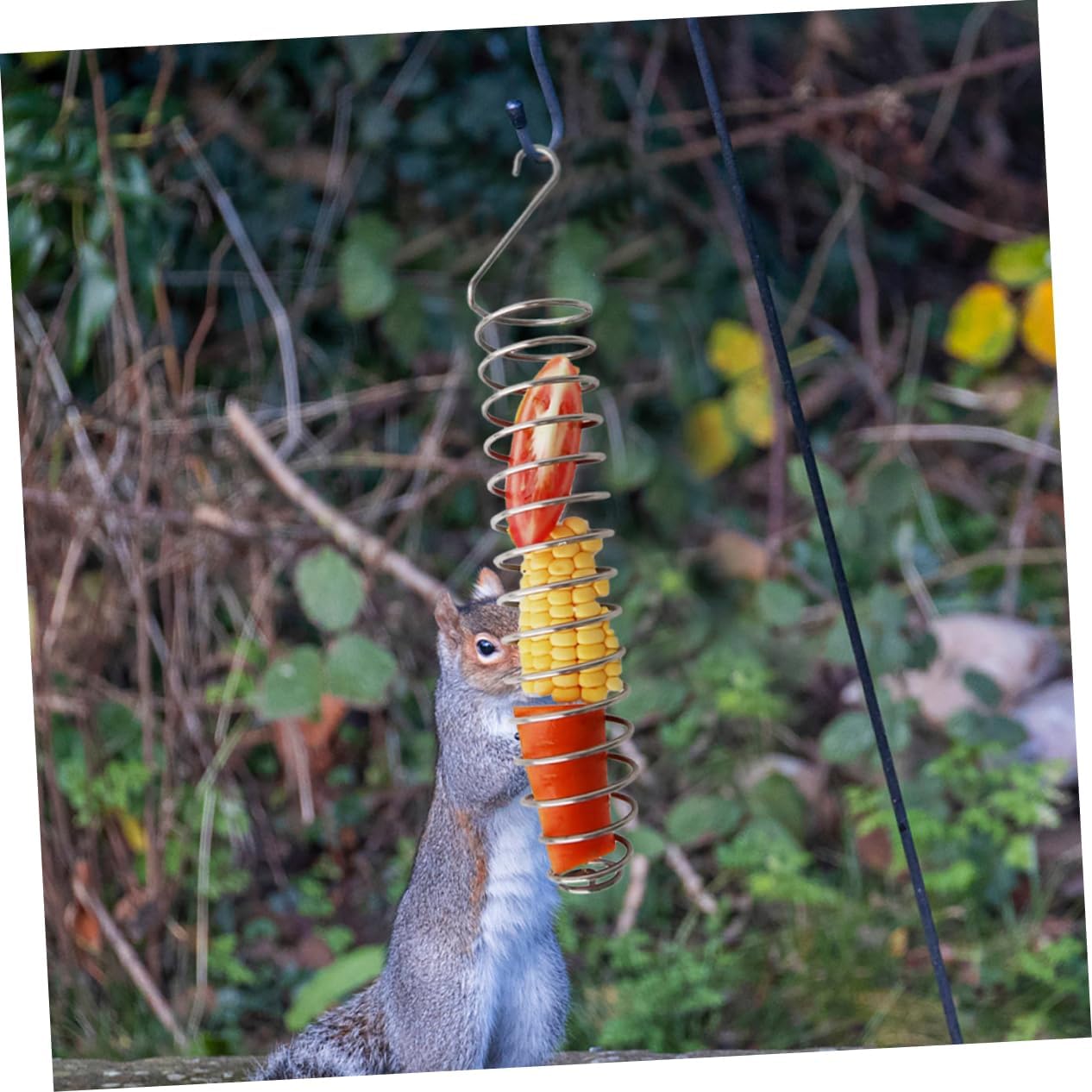 Squirrel Feeder for Outdoors Sturdy Corn Holder Stainless Steel Base Bird and Squirrel Food Feeder for Backyard Wildlife