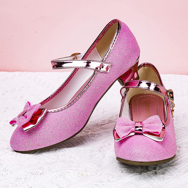 Girls Dress Mary Jane Ballet Flats Low Heels Princess Shoes 5