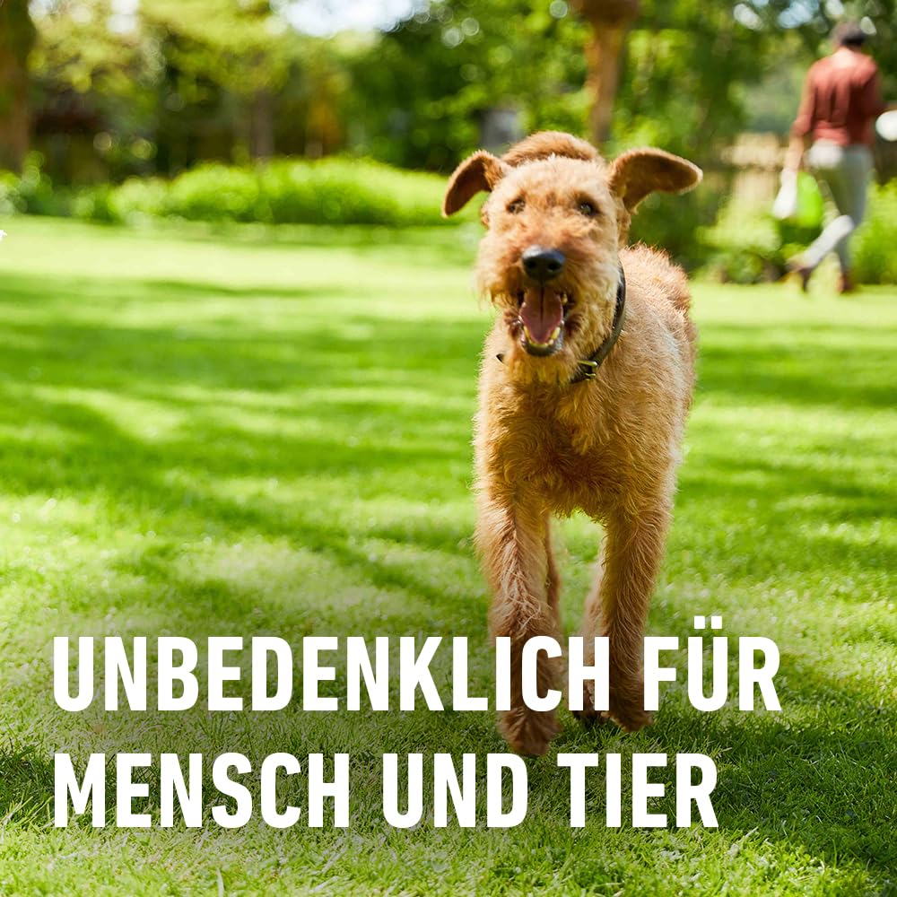 COMPO Rasendünger mit 3 Monaten Langzeitwirkung für Frühjahr und Sommer - tierfreundlich - Premium Rasen-Langzeitdünger - 20 kg für 800 m²,