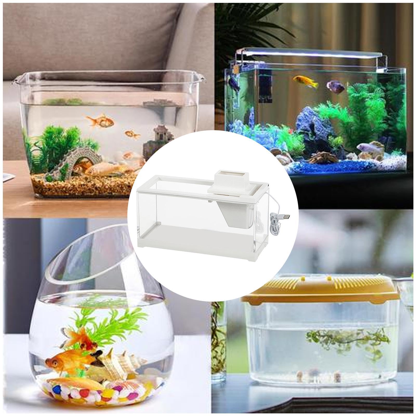 Acuario de Escritorio, pecera de Escritorio Acuario pequeño Abierto Grande | Baja Tensión Mini pecera grande abierta pequeña pecera para escritorios, mesas, estantes, salas de es