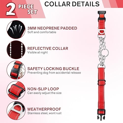 Miniatura 2 de Juego de collar y correa para perro, collar de perro Martingale con hebilla de liberación rápida, correa reflectante para perro y collar ajustable