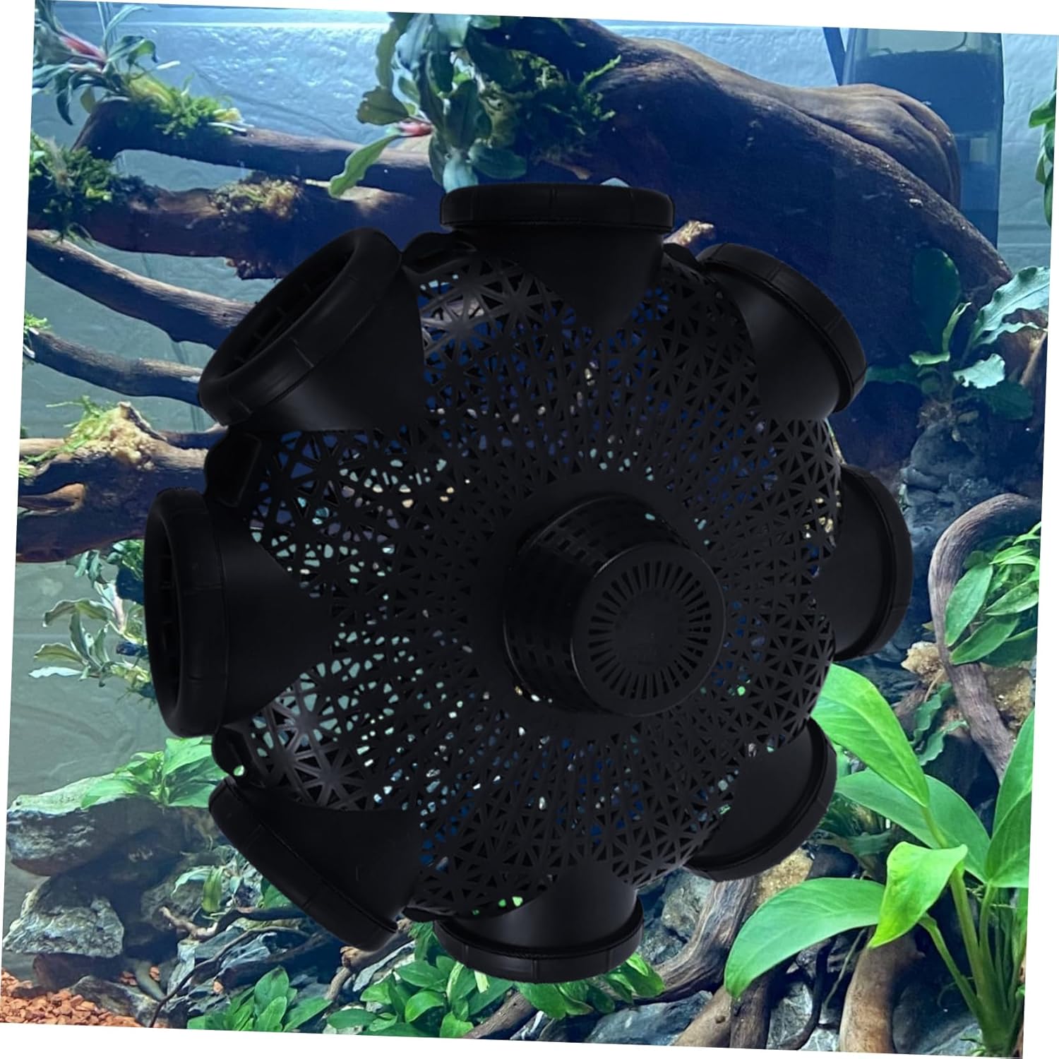 Portable Fishing Bait Cage Plastic EEL Trap Fish Trap for Fishing Bait Holder Lure Basket for Outdoor Activities