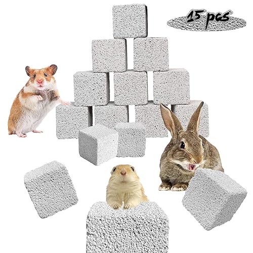 PINVNBY 15 Pcs Rabbits Lava Blocks Bunny Teeth Grinding Stone