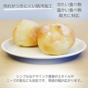 平皿 3 Amazon.co.jp: KOKUBO(コクボ) KOKU ラウンド平皿 小 アイアン