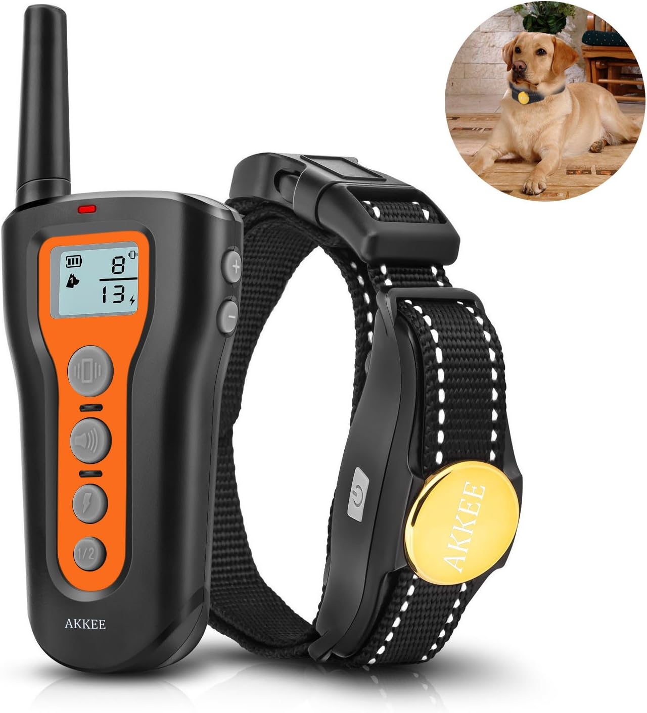 dog training collars amazon