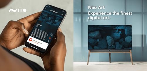 Niio Art Player
