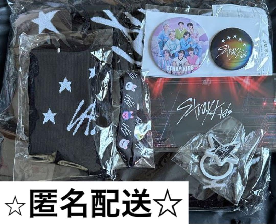 StrayKids スキズ アプグレ 特典 グッズ ドームツアー S-class straykids スキズ 5STARドームツアー アプグレグッズ 特典