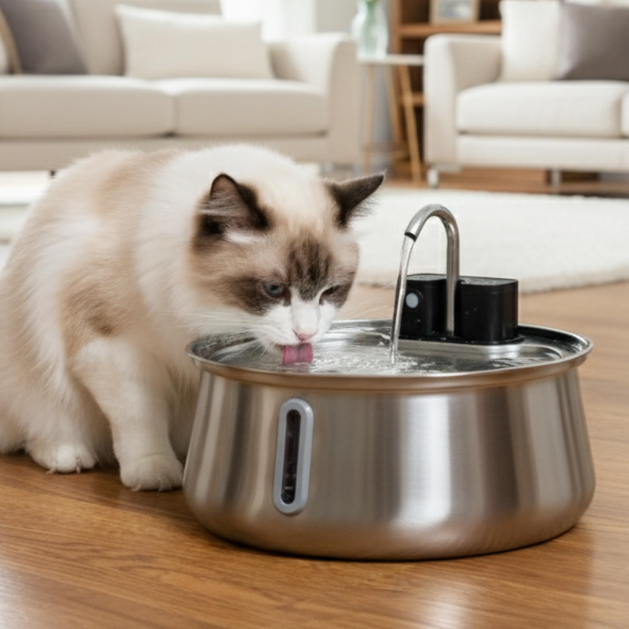 Fontaine à eau pour chat sans fil à placer partout dans la maison salon ou cuisine
