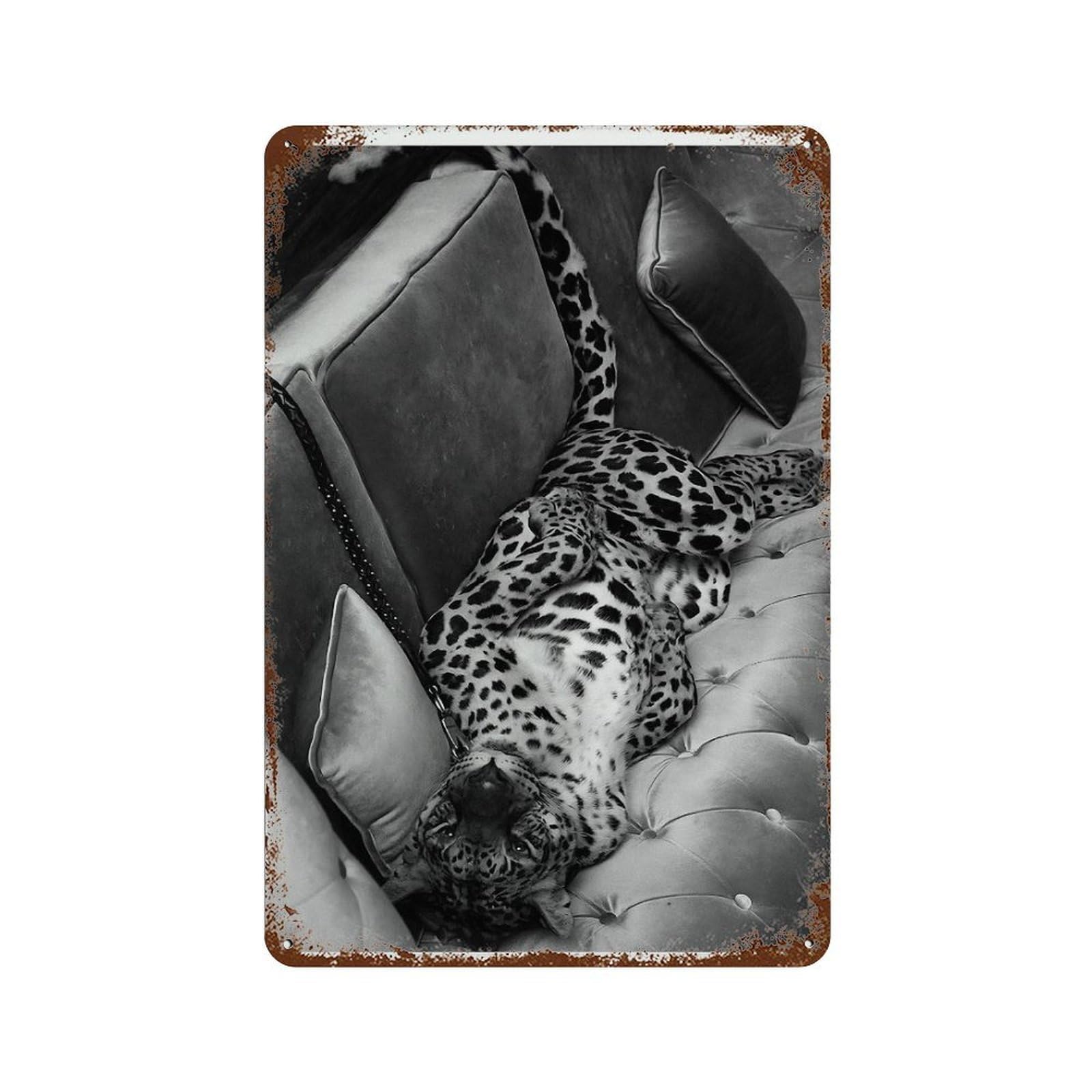 xiaoxiaoshen Panther on The Sofa Print Wall Decor Art Metal Tin Poster Modern Home Decor Art Home Bar Shop Decorations Vintage Sign 30x20cm