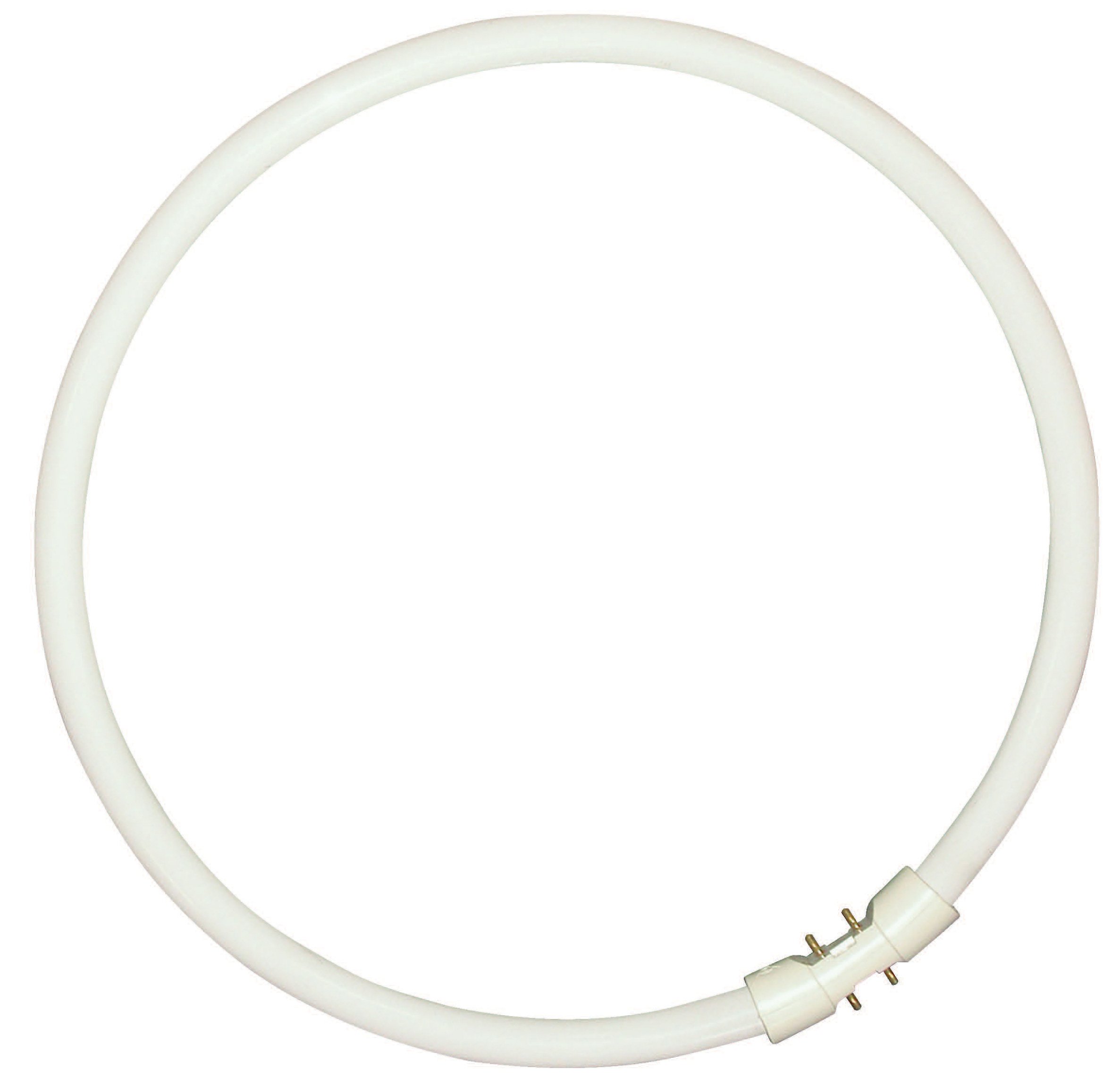 Sylvania T5 – T5 Circline Lamp Plus 55 W/840