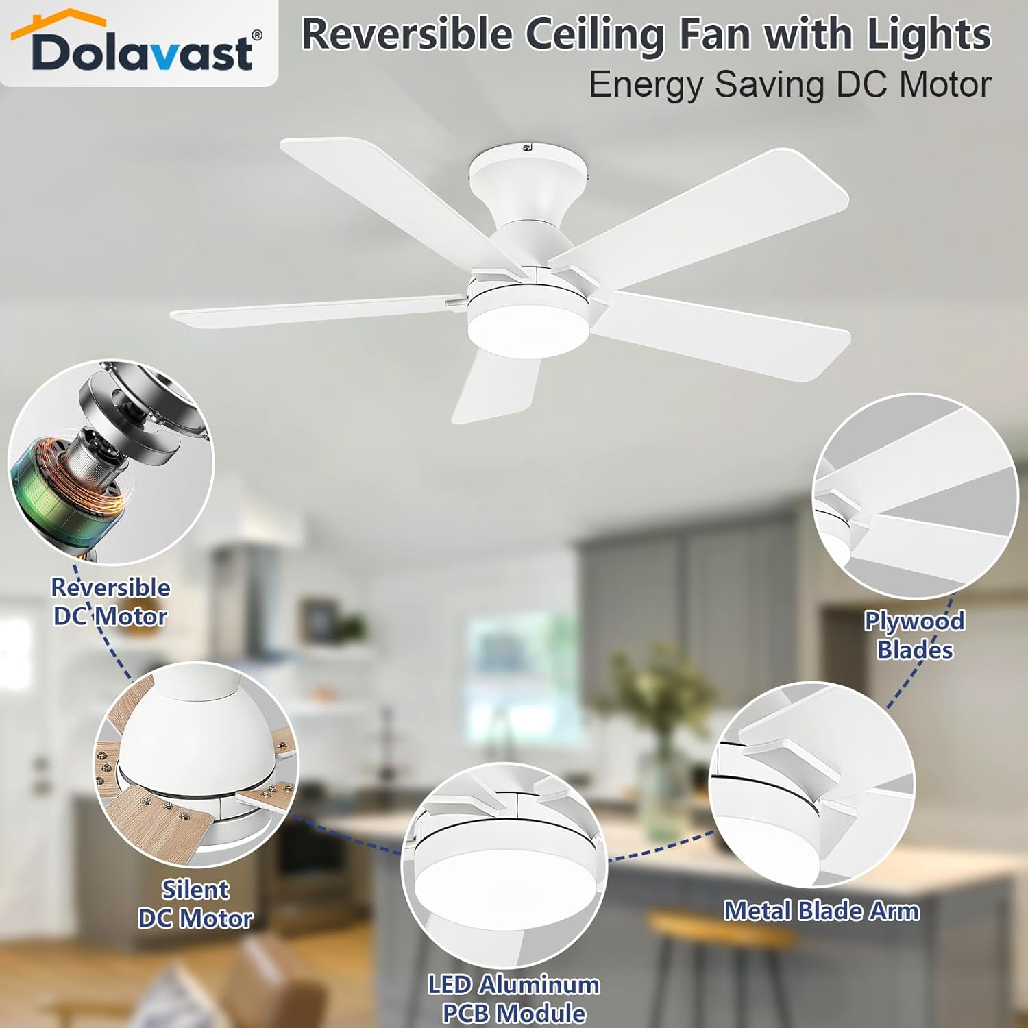 Dolavast Ceiling Fan DC Motor and Components
