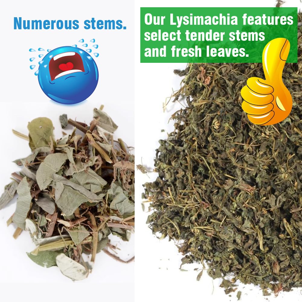 Gold Coin Grass Tea (Lysimachia christinae) - Herbal Blend for Kidney & Gallbladder Health | Dried Loose Leaf (3 Ounce (Pack of 1)) - Image 2