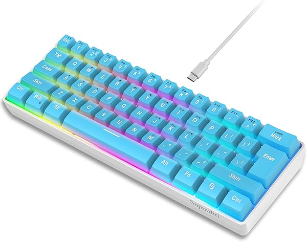 Snpurdiri 60% Wired Gaming Keyboard, Small Ultra-Compact 61 Keys RGB Backlit 60 Percent Gaming Keyboard for PC/Mac Gamer, Typist, Travel, Easy to Carry on Business Trip (Blue)