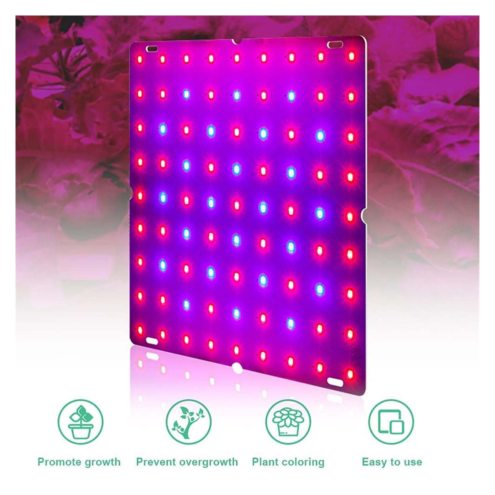 Grow Light, LED Pianta Coltiva La Luce 1000W/2000W Spettro Completo Lampada Coltivazione Idroponica Piante Phyto Veg Fiore Pannello Ultrasottile for Interni(Big Size)