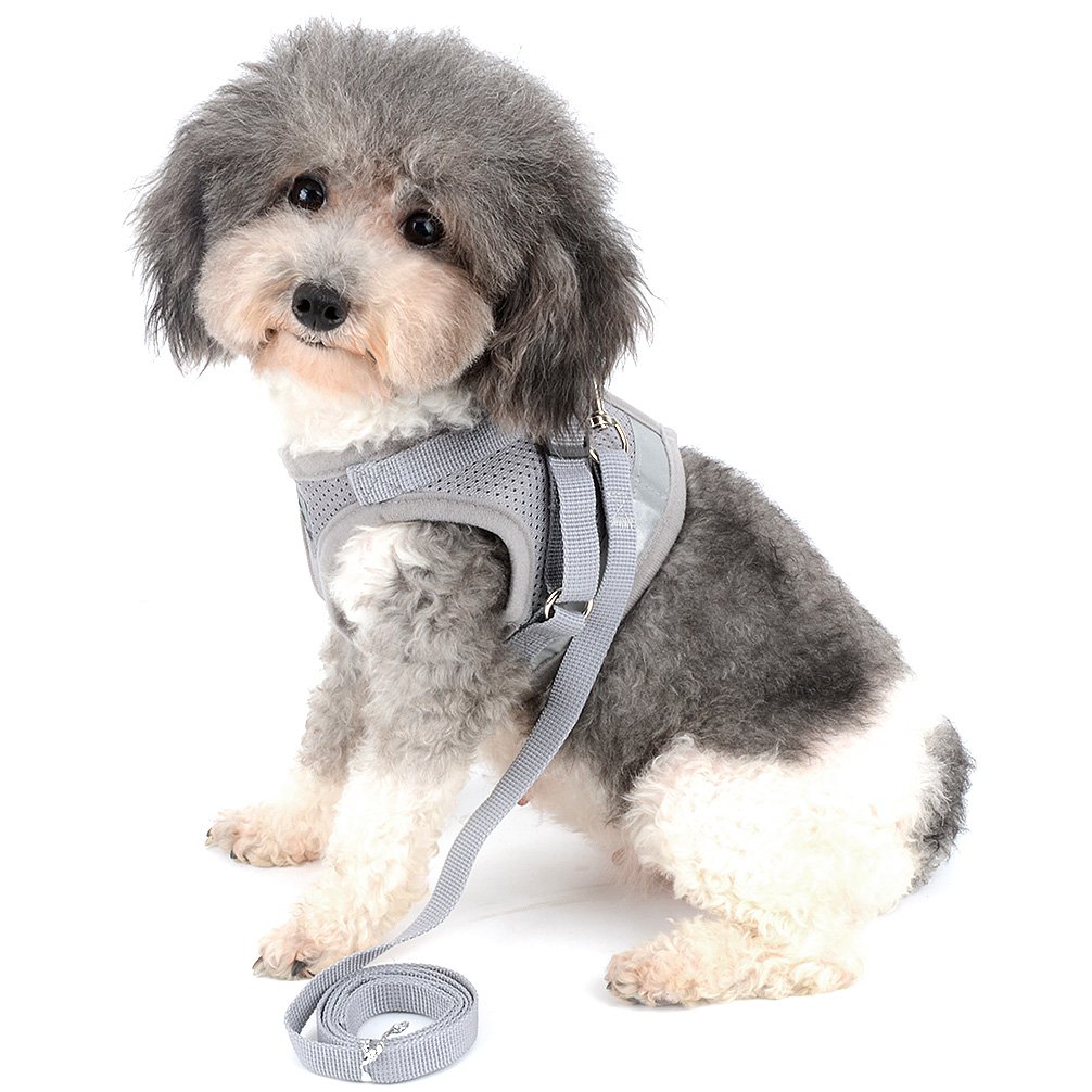 Amazon | RANPHY メッシュ 犬用 ハーネス 胴輪 反射材料付き リード