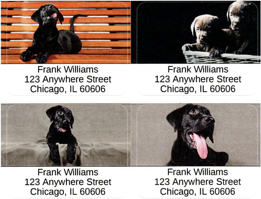 Black Lab Puppies Address Labels