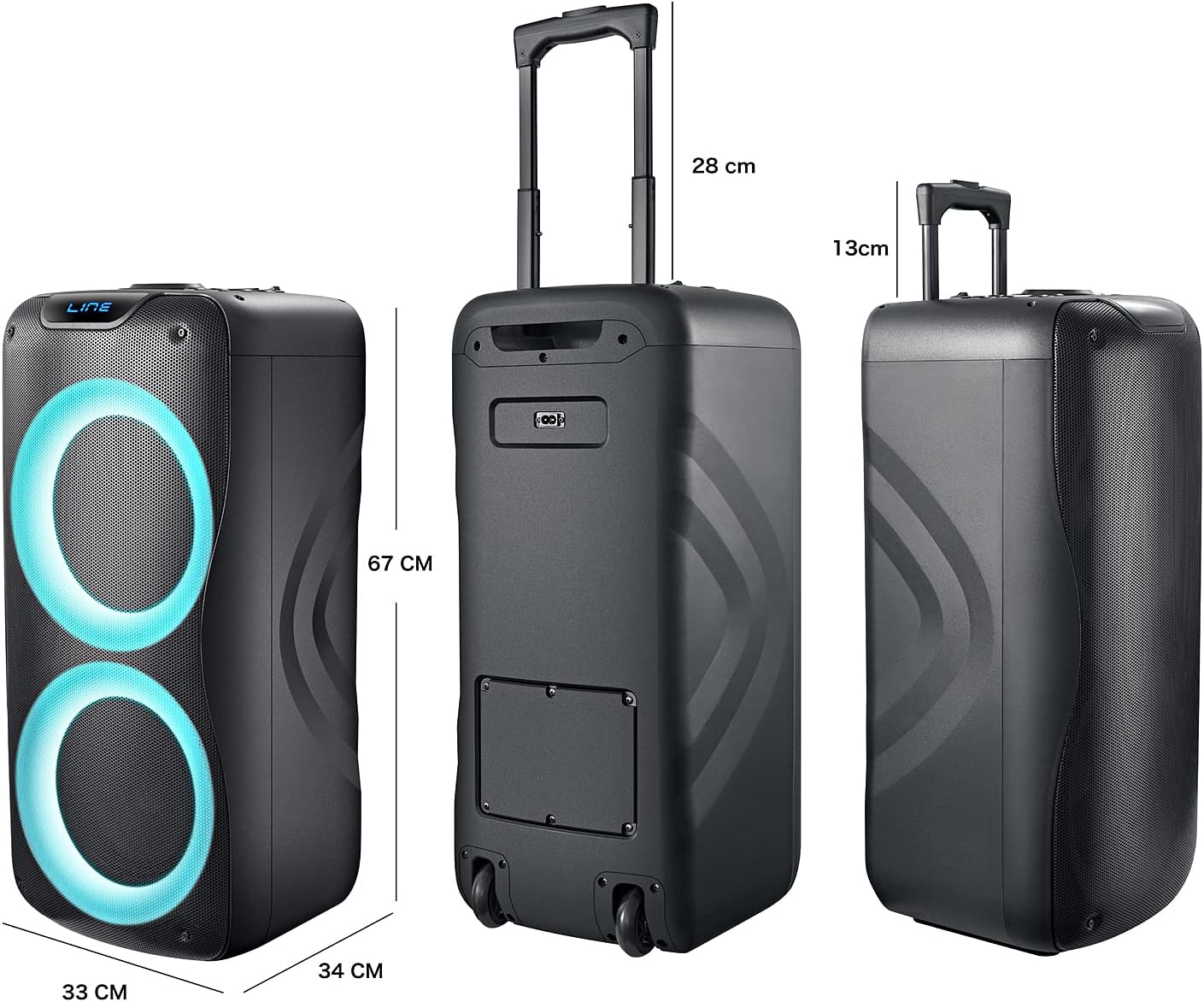 Karaoke Machine, Wireless Rechargeable Portable PA System/Speaker with 2 Metal Wireless Mics, B FM Radio, LED Party Light, Remote Control, Built in Handel, 800W Peak (2 Mics)