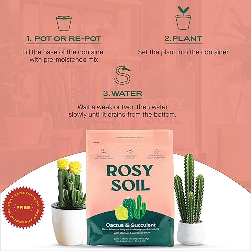 Miniatura 5 de Rosy Soil Mezcla de tierra para macetas de cactus y suculentas para plantas de interior, tierra para macetas de drenaje rápido para suculentas, aloe