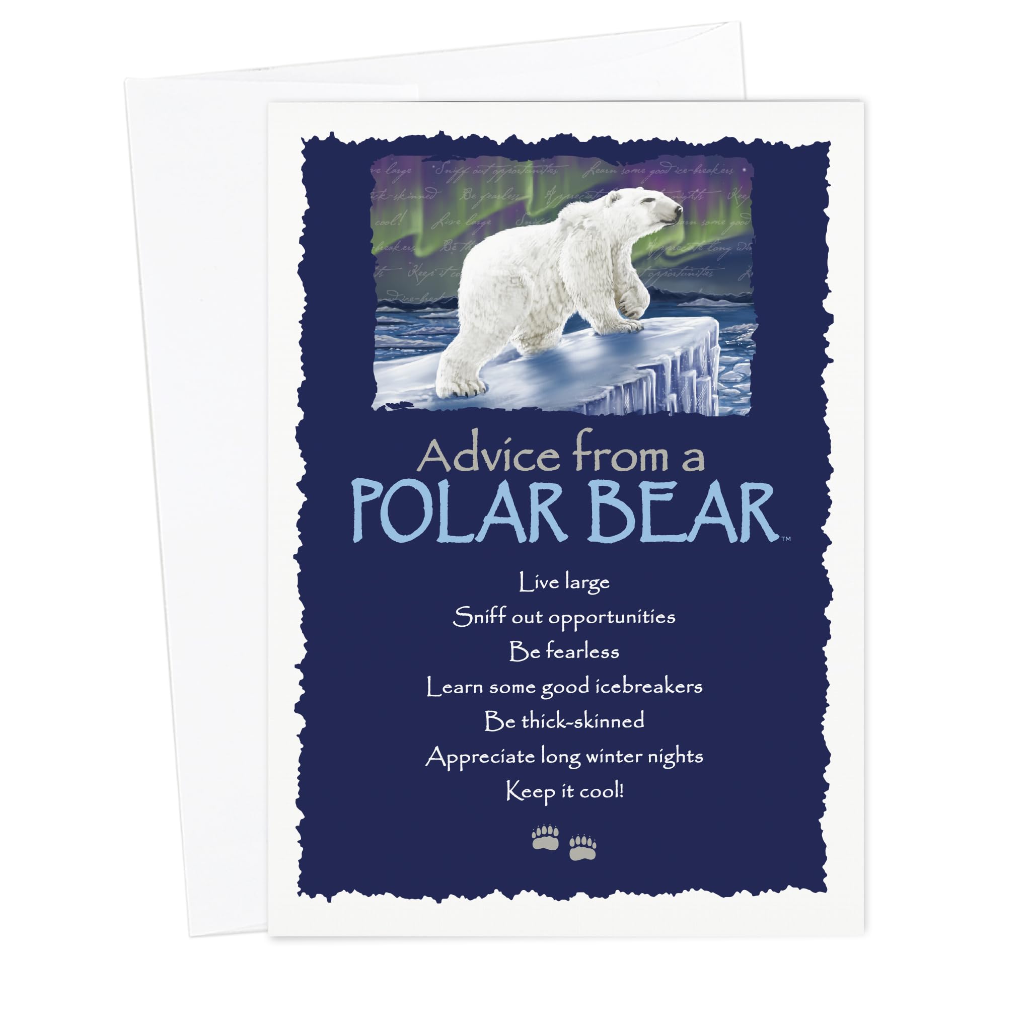 Advice from a Polar Bear 6 tarjetas de Navidad de oso polar, tarjetas de oso festivo, tarjetas de agradecimiento de oso polar, tarjetas interiores en blanco sostenibles para cualquier