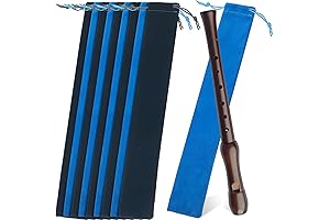 Recorder Case Bag only