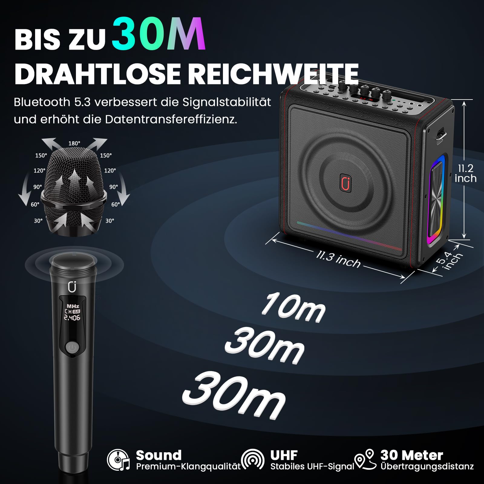 HWWR Karaoke Maschine mit 2 Mikrofone Tragbarer Bluetooth Lautsprecher mit Lichteffekte für Erwachsene/Kinder, Unterstützt TF/USB, FM, Rec, AUX in, TWS für Party