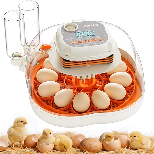 Chicken & Quail Egg Incubator, 2 Egg Trays, Automatic Egg Turning with Auto Stop, Humidity Control, Adjustable Incubation Day & Period, Auto Water Refill, Egg Candler, Clear View, APDOE HatchElite 12