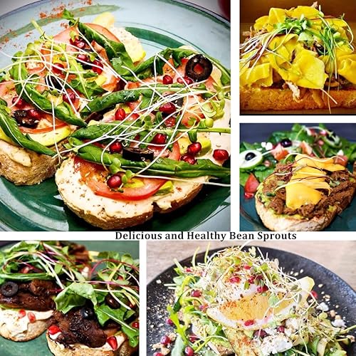 Miniatura 6 de Kit de germinación de semillas, 2 tarros grandes de boca ancha con tapas de brote, mangas opacas, bandeja de drenaje, soporte de acero inoxidable,