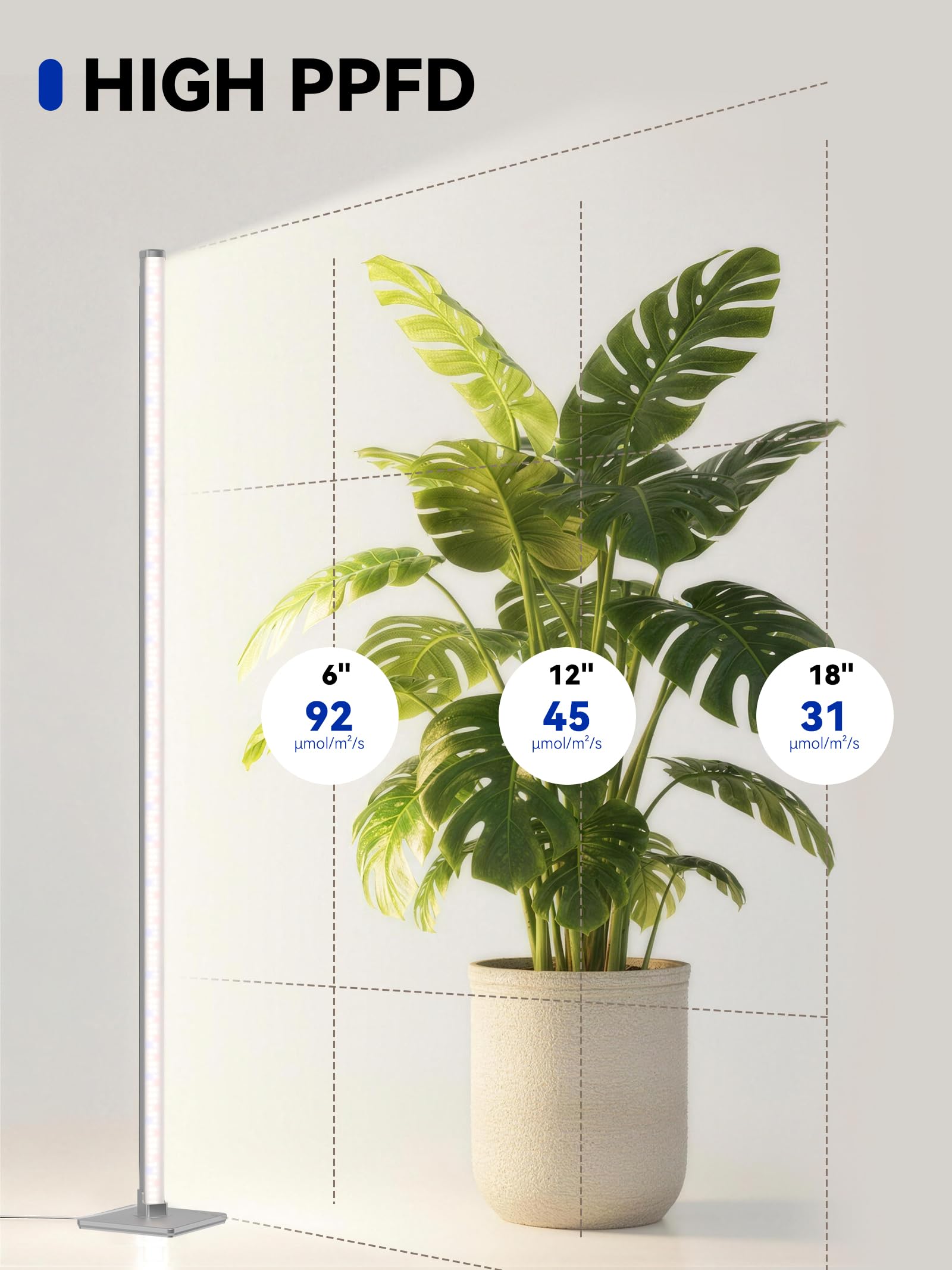 GLOWRIUM Grow Lights for Indoor Plants, 36W Vertical Plant Grow Lights with Auto-Timer, Full Spectrum LED Standing Plant Grow Light, 3 Light Modes, 6-Level Dimmable (60 in(Silver)): 60 IN