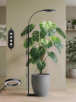 GLOWRIUM Grow Lights for Indoor Plants, 20W Full Spectrum LED Grow Light Floor Lamp with Stand Adjustable Height and Angle, Black Plant Light with 3/9/12H Grow Light Timer