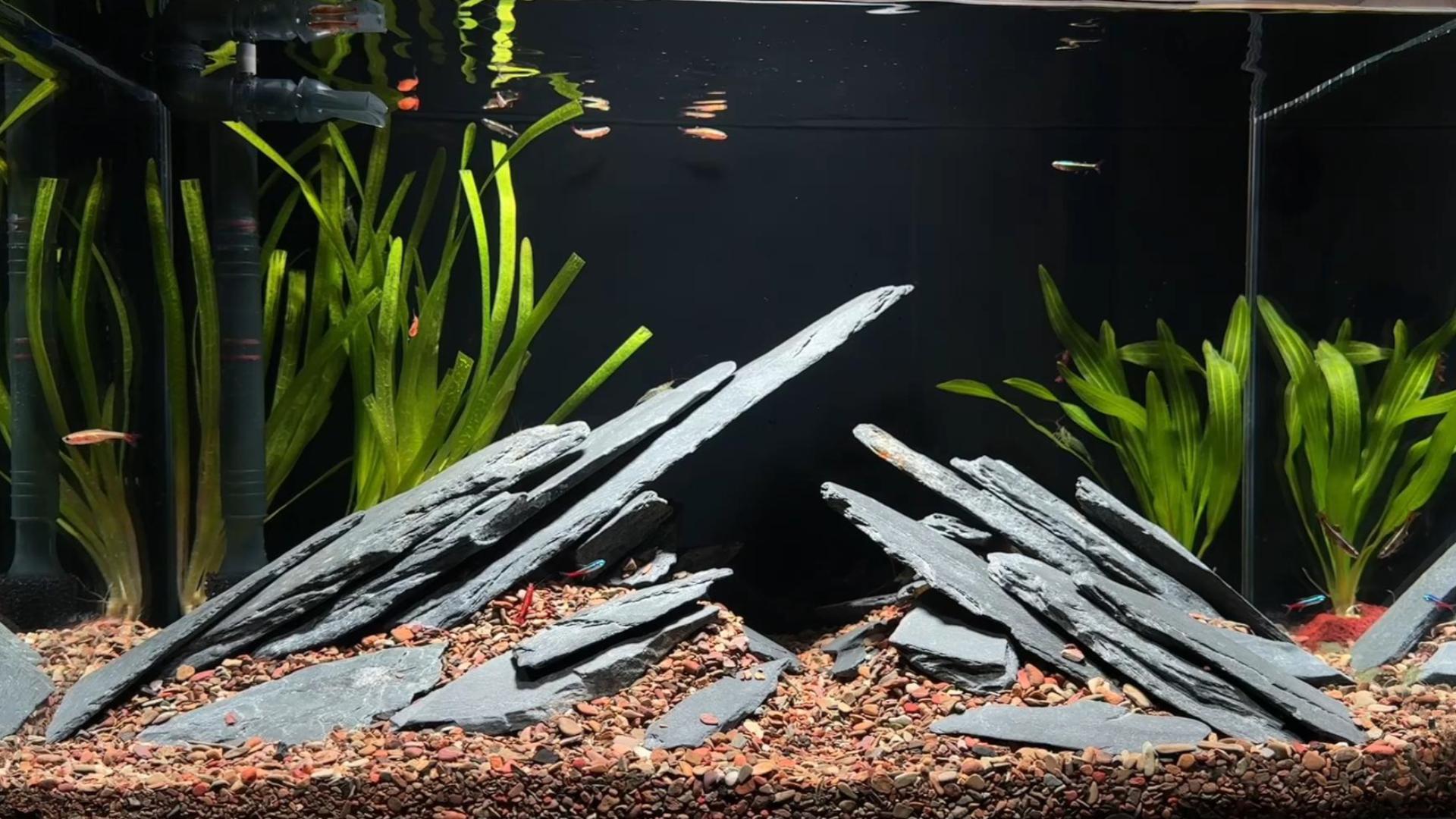 Aquarium Rocks 5lb Natural Slate Stone for Aquascaping Reptile