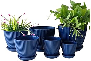 6 PK Indoor/Outdoor Planters & Pots with Drainage Holes and Saucers