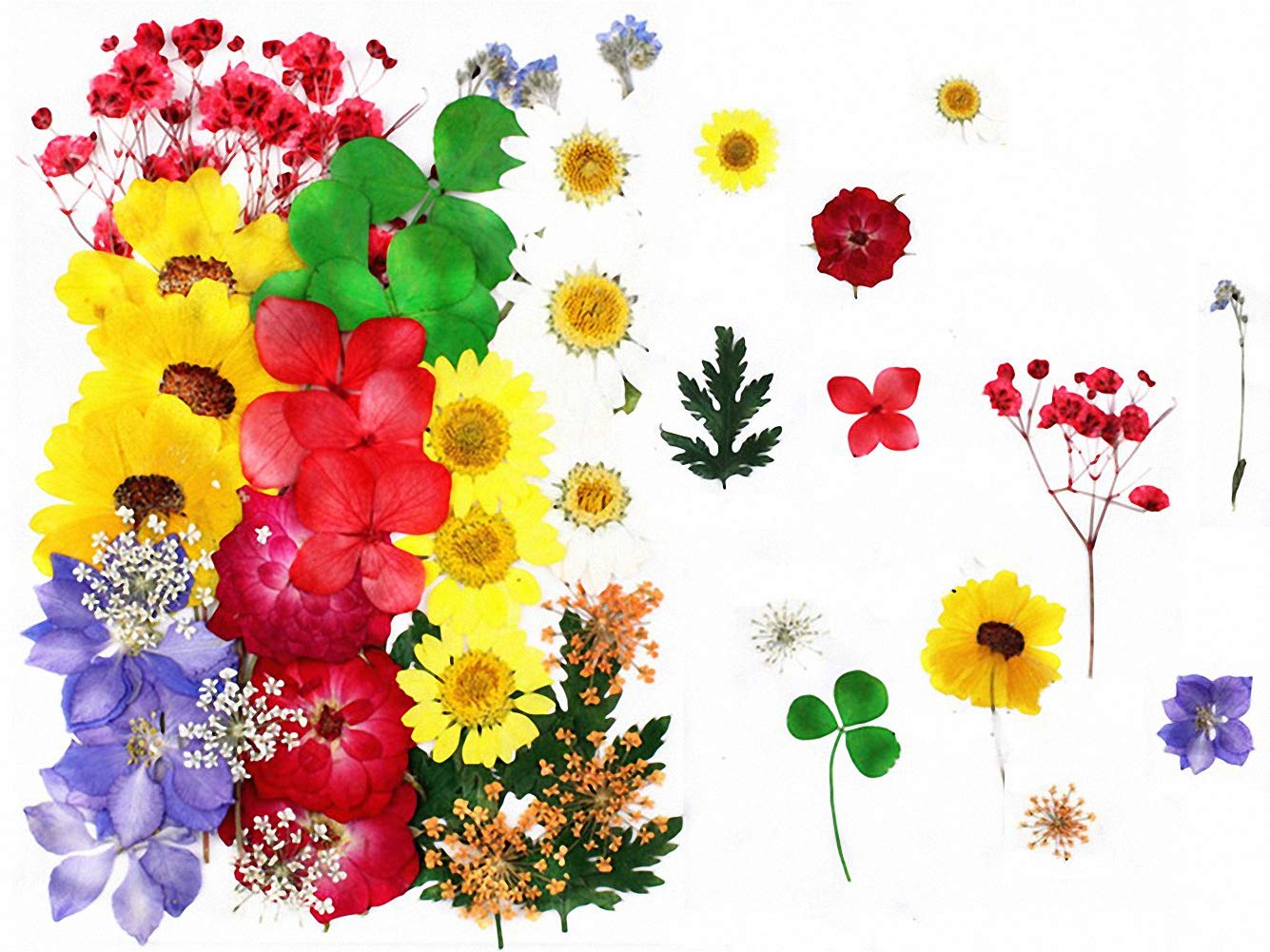 36pcs Dried Pressed Flowers Leaves Real Natural DIY Color Candles Decorative Resin Jewelry Pendants Handicraft Art Nail Phone Case Facial Makeup Mixed Decorative Flower Petals