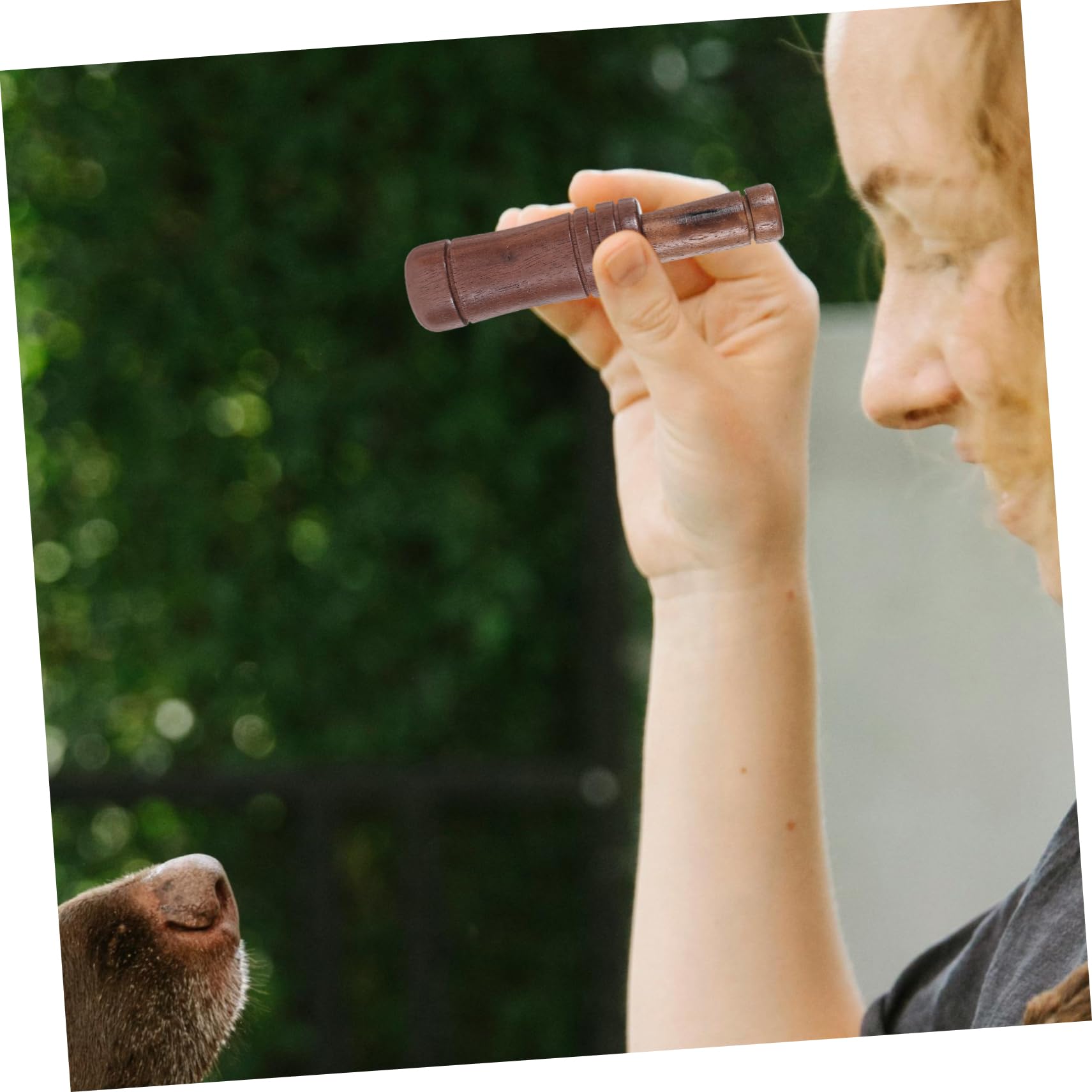 Appeau Oiseau En Bois - Sifflet Imitation Chant D'oiseaux Pour Observation Nature, Chasse, Débutants