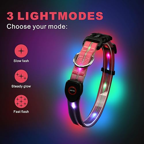 Miniatura 8 de Collares de perro con luz LED, collar de perro con luz LED, collar de perro brillante recargable por USB con impermeable, collar de seguridad