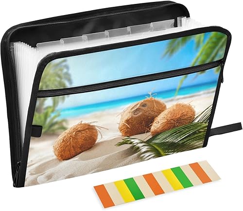 OTVEE Organizador de archivos de acordeón, árbol de coco en la playa, 13 bolsillos, carpeta de archivo expandible