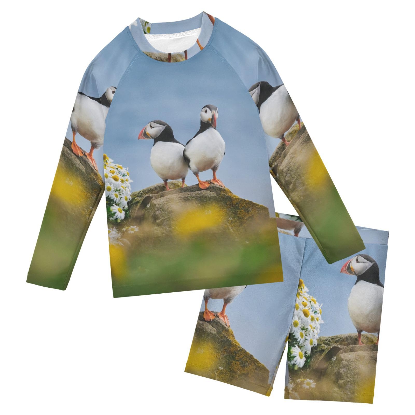 Aflyko Kids' Bathing Suit Set Puffins Daisy Iceland Long Sleeve Swim Tops with Shorts Summer Vacation Pool Party Rashguard Fun Cute Infant Beachwear, 4T Multicoloured